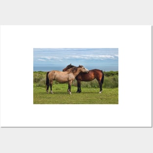 The Lundy Ponies Posters and Art